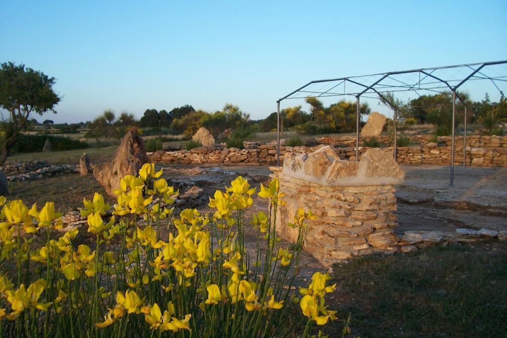 Agriturismo Il Grillo Parlante Pitigliano Exterior foto
